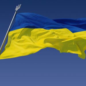 ОФОРМЛЕННЯ ТА ВИДАЧА ДОВІДКИ ПРО ЗВЕРНЕННЯ ЗА ЗАХИСТОМ В УКРАЇНІ - oformlenie i vyidacha spravki ob obrashhenii za zashhitoy v ukraine