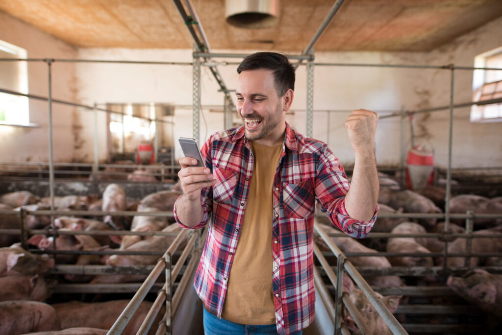 CASE STUDY: RECEIVING A GRANT FOR 250,000 UAH "OUR OWN CASE" FOR THE DEVELOPMENT OF A FARM - farmer pig pen with mobile phone receiving good new from bank that his loan has been approved