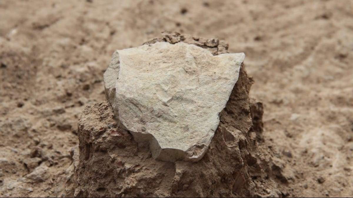 Consultations on actions in case of discovery of archaeological finds ...