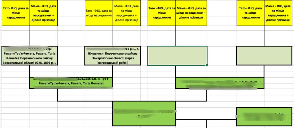 Support in Obtaining Hungarian Citizenship by Origin