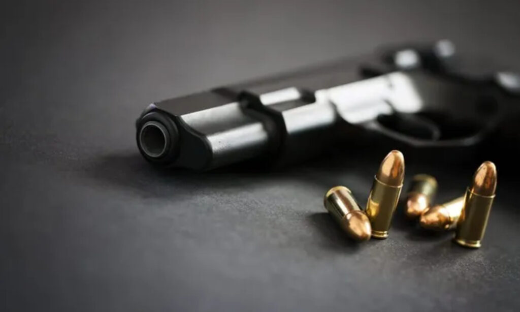 Illegal handling of weapons in wartime: how the practice of applying Article 263 of the Criminal Code of Ukraine has changed