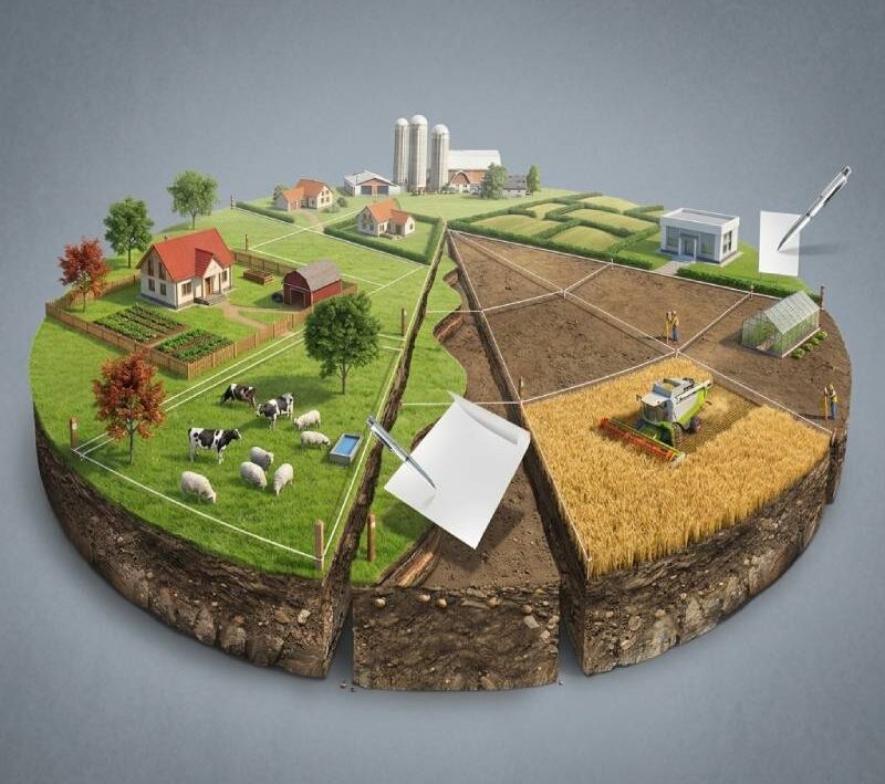 Захистили право власності клієнта у справі про оскарження прокуратурою приватизації земельної ділянки